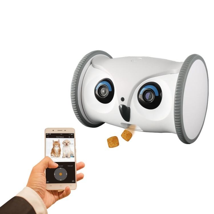 Pet Camera with Treat Tosser