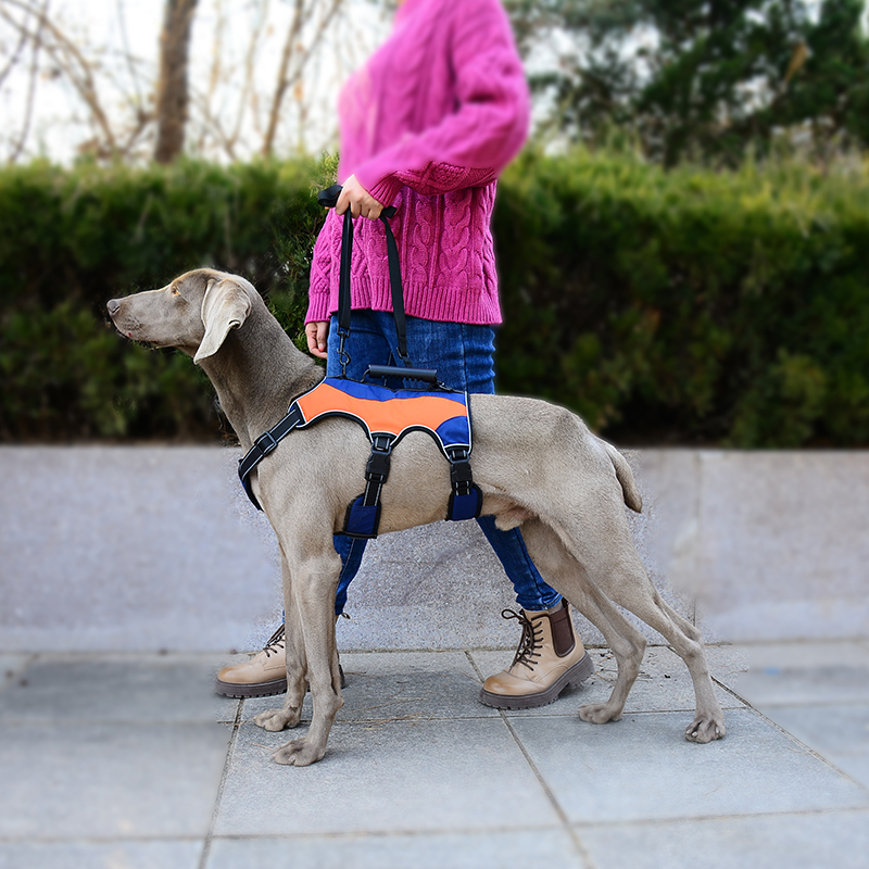 No-Pull Dog Harness
